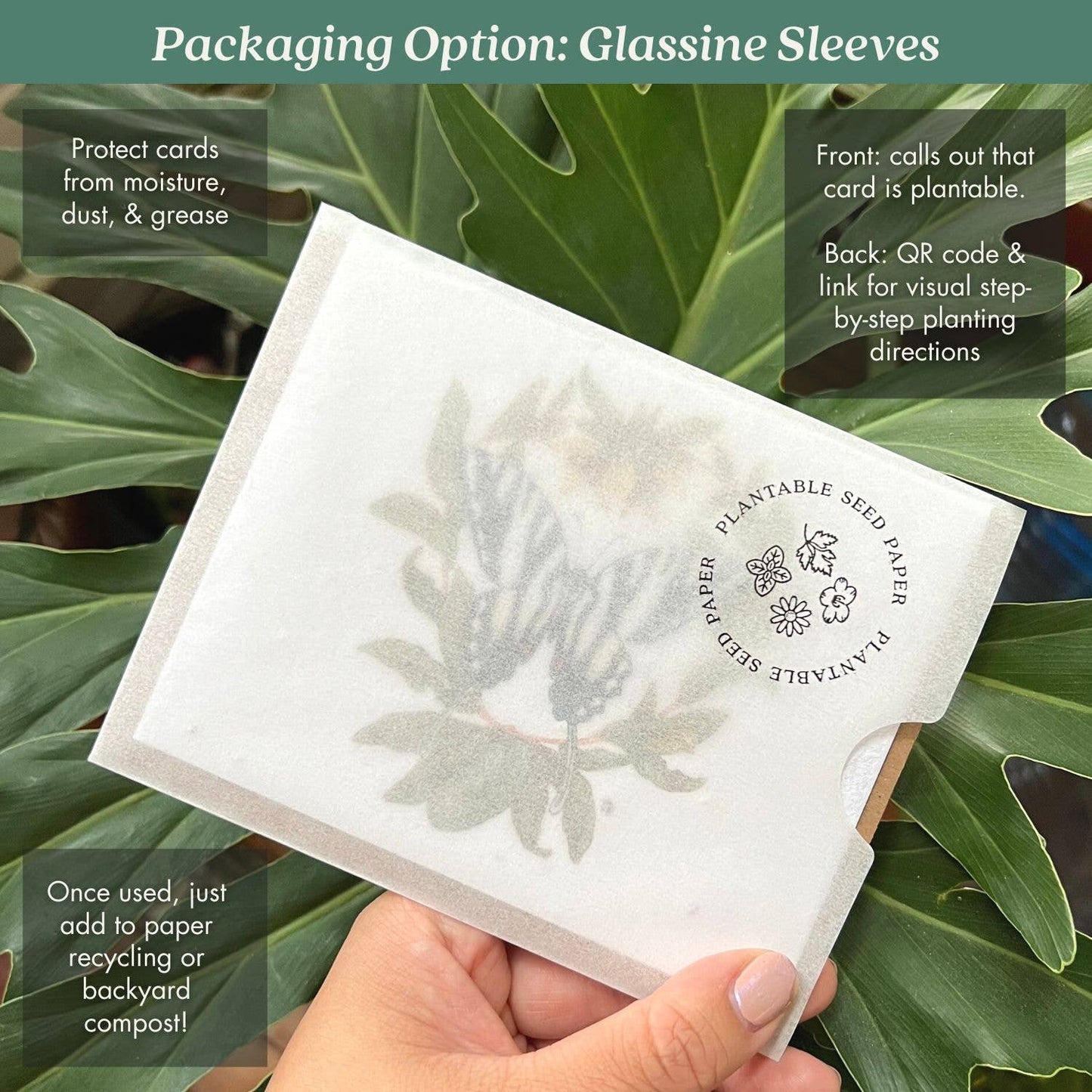 Botanical Thank You Plantable Herb  Seed Card
