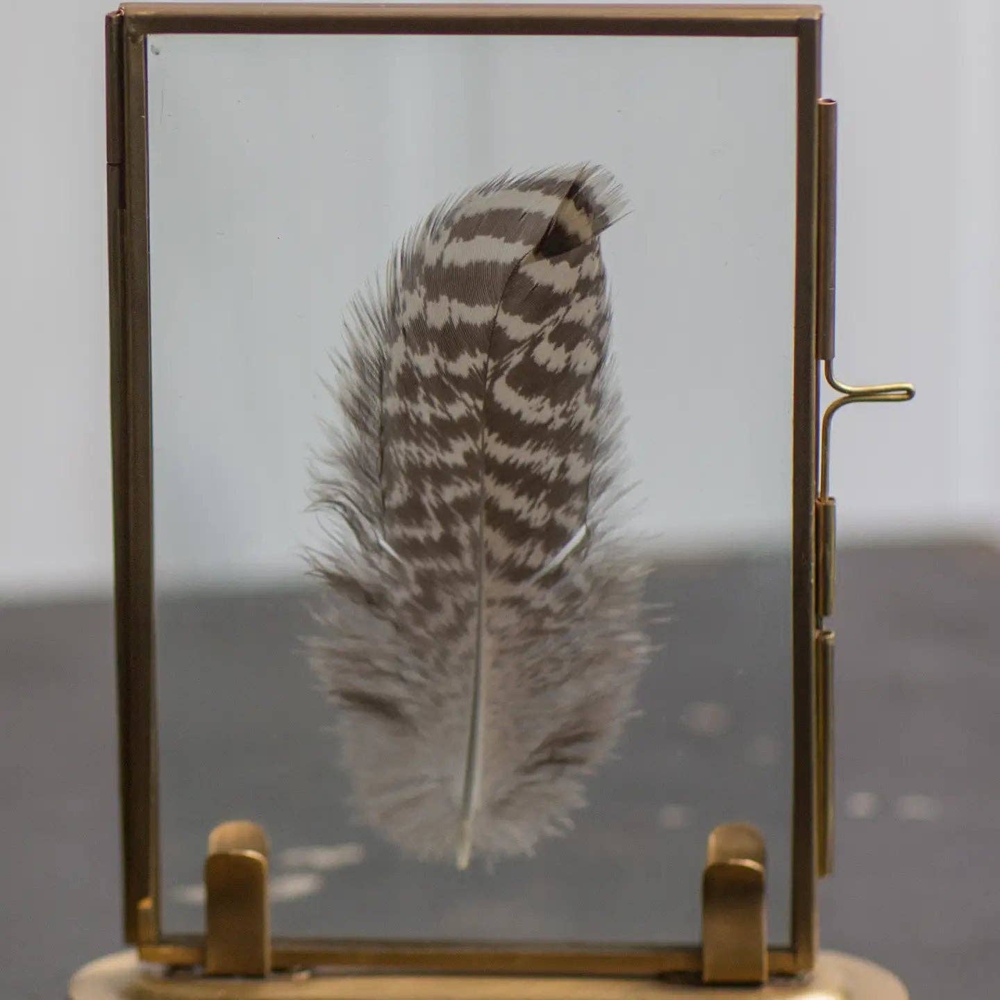 Solid Brass Frame with Stand: 4X6