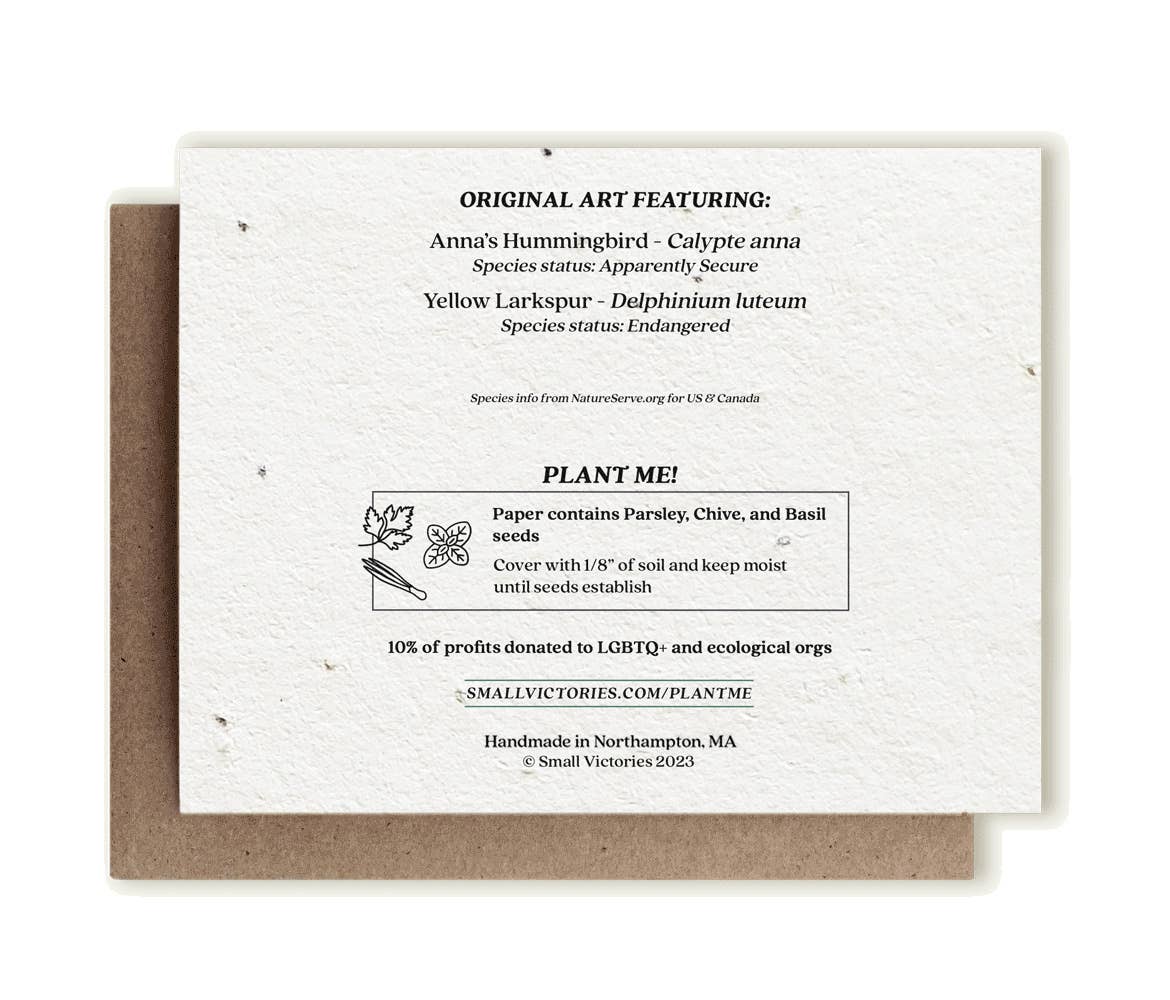 Anna's Hummingbird & Larkspur Plantable Herb Seed Card