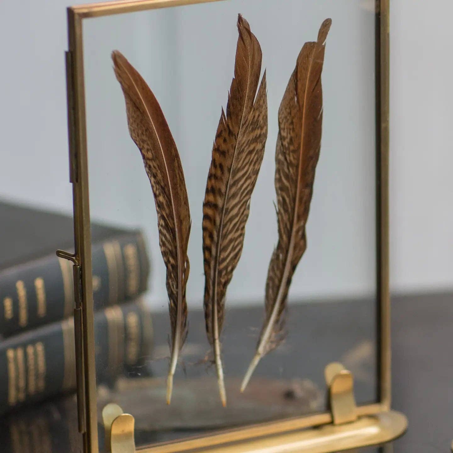 Solid Brass Frame with Stand: 5x7