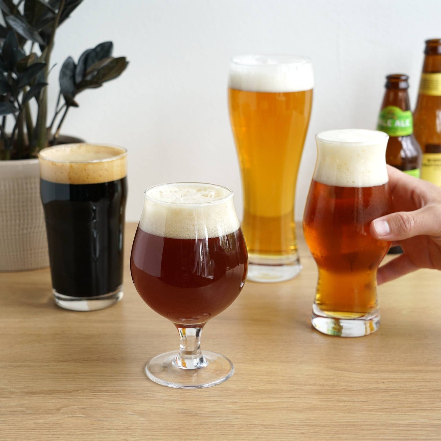 Craft Beer Tasting Set of 4: Clear / Glass